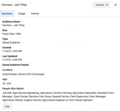 Facebook audience screenshot